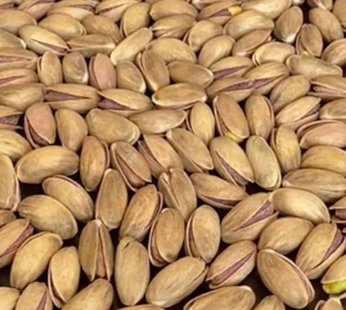 Toptan kabuklu Antep fıstığı